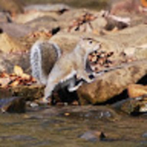 Meet your Posher, Cathy